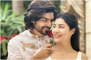 Gurmeet Choudhary-Debina Bonnerjee Become Parents to Baby Girl, Share a Tiny Glimpse - Watch Video