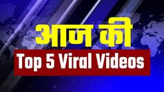 Top 5 Viral Videos: बंदर को लगी प्यास तो पुलिसकर्मी ने पिलाया पानी, देखें Helmet वाला डॉगी - Watch