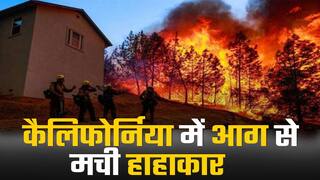 कैलिफोर्निया में आग से हुई भारी तबाही, 20 से ज्यादा घर जलकर राख | Watch Video