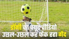 Doggy ka ball khelne wala video: उछल-उछल कर बॉल से खेल रहा डॉगी, इस उम्र में भी दादी कर रही Skipping!