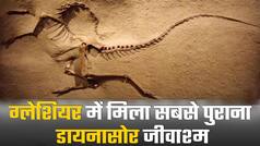 ग्लेशियर में सुरक्षित मिला डायनासोर का जीवाश्म। watch Video