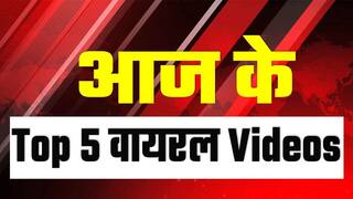 वायरल वीडियो में देखें अजब हंस की गजब सवारी...चलते-चलते जब सड़क पर अचानक निकला बुलडोज़र का चक्का