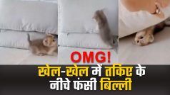 Billi Ka Cute Video: खेल-खेल में बिल्ली से हो गई गलती....सुपरमैन का कॉस्ट्यूम पहनकर तोते ने किया जबरदस्त स्टंट