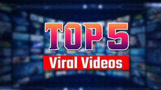 Viral Video: ओ भाई! क्या नजारा है.......बंदरों की सड़क पर सेब पार्टी, कछुए की सवारी करता दिखा चूहा