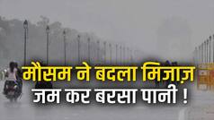 दिल्ली-NCR मौसम: भारी बारिश और तेज़ आंधी में हुआ भारी नुकसान, सैंकड़ों पेड़ और खंभे उखड़े | Watch Video