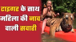 Woman Ka Tiger Ke Sath Ride Wala Video: नाव पर बैठकर Tiger के साथ घूमती दिखी महिला, वीडियो देख हर किसी का कांपा रूह