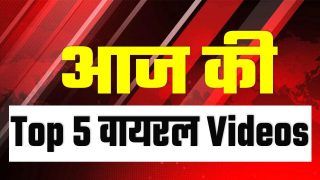 Viral Video: सिर पर गिरा खंभा, हेलमेट ने बचाई युवक की जान, अजब बिल्ली की गजब सवारी