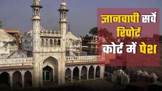 ज्ञानवापी सर्वे की फाइनल रिपोर्ट कोर्ट में हुई पेश, पुराने मंदिर के मलबे पर है देवी-देवताओं की कलाकृति | Watch video