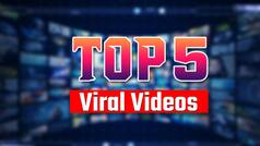 Wall Printer Machine Video: कमाल का है यह प्रिंटर मशीन, दीवारों पर बनाता है अद्भूत डिजाइन, दूल्हे ने ढोल की धुन पर किया अजीबों-गरीब डांस