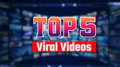 Billi Ka Video: TV पर बॉल देख हैरान हुई बिल्ली, सामने आने का कर रही इंतजार