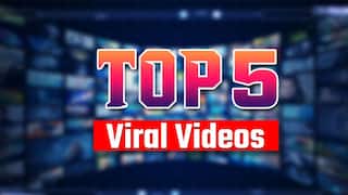 Billi Ka Video: TV पर बॉल देख हैरान हुई बिल्ली, सामने आने का कर रही इंतजार