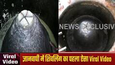 ज्ञानवापी में कथित शिवलिंग या फव्वारा, बेहद पास से देखिए Viral हो रहे इस Video को | Watch Video