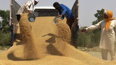 प्रधाननमंत्री गरीब कल्याण अन्न योजना को दिसंबर से आगे बढ़ाने पर पीएम मोदी करेंगे विचार: कृषि राज्य मंत्री