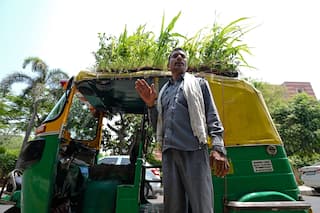 Delhi Man Grows an Entire Garden on His Autorickshaw's Roof, Earns Praises Online | See Viral Pics and Video