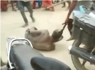 Samastipur Shocker: Man Clubbed To Death In Broad Daylight As Dozens Watch