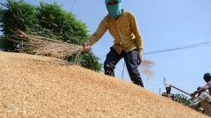 Flour Export Ban: गेहूं के निर्यात पर रोक के बाद भारत ने आंटा- मैदा के निर्यात को किया बैन