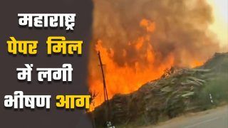 महाराष्ट्र के बल्लारपुर वुड डिपो में लगी भीषण आग, 24 घंटे बाद भी नहीं पाया जा सका काबू | Watch Video