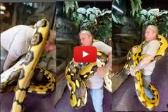 Viral Video: 20-Foot-Long Python Squeezes Its Handler With Force at Reptile Zoo. Watch