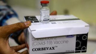 Price of Corbevax Covid-19 Vaccine Slashed to Rs 250 Per Dose. Deets Inside