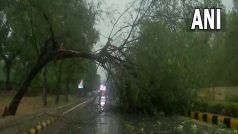 Delhi NCR Weather Update: दिल्ली-NCR में आंधी के बाद बारिश, उड़ानों पर भी दिखा असर, कई जगह पेड़ टूटने से रास्ते बंद
