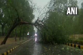 Delhi NCR Weather Update: दिल्ली-NCR में बारिश की वजह से करीब 100 पेड़ गिरे, फ्लाइट्स की टाइमिंग पर भी पड़ा असर
