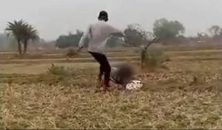 Jharkhand Boy Held For Kicking Girl Repeatedly After CM Hemant Soren Seeks Action Retweeting Video