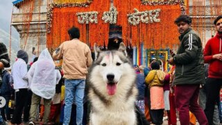 Noida Vlogger Who Took Pet Dog to Kedarnath Writes to PM Modi, Says His Family Has Been Receiving Threats