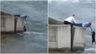 Viral Video: Man Leaves Wedding To Save Dog From Drowning, Internet Hails Him as Hero. Watch