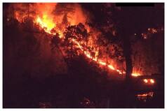 Massive Fire Breaks Out In Forest Areas Of Jammu and Kashmir, Firefighting Operation Underway