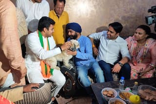 Punjab And Haryana HC Has Not Stayed Warrant of Arrest Against Tajinder Bagga, Says AAP