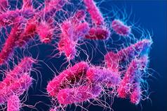 What is Salmonella Typhimurium- the Bacterial Infection Affecting Kids in Europe? Is Your Kid at Risk? Expert Explains