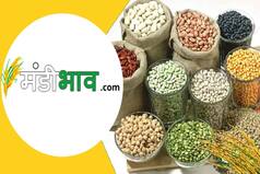 बिचौलियों से मिलेगा छुटकारा, मंडीभाव.com से घर बैठे जान सकेंगे अपनी मंडी का ताजा भाव