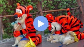 Viral Video: Dog Meets Favourite Cartoon Character at Disneyland, Her Reaction is Too Cute to Miss. Watch