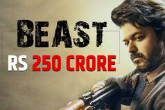 Thalapathy Vijay's Beast Crosses Rs 250 Crore at Worldwide Box Office Despite KGF 2 Wave