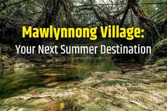 Mawlynnong Village in Meghalaya is Asia's Cleanest Village, Here's Why You Should Include in Your Travel Bucket List
