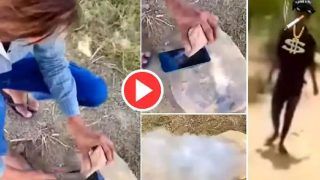 Viral Video: Boy Tries to Break His Phone With Rock But It Catches Fire. Watch