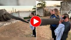 Ladki Ka Video: अचानक लड़की पर भड़क गया हाथी, सूंड से खींचकर मारा जोरदार तमाचा- देखें वीडियो