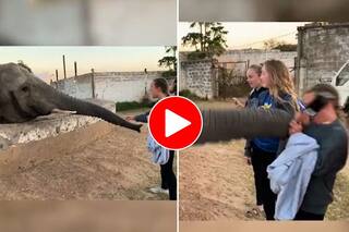 Ladki Ka Video: अचानक लड़की पर भड़क गया हाथी, सूंड से खींचकर मारा जोरदार तमाचा- देखें वीडियो