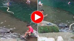 Sanp Ka Video: नदी में अचानक आ गया जहरीला सांप और पड़ गया शख्स के पीछे, फिर जो हुआ सोच भी नहीं सकते- देखें वीडियो