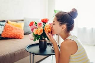 Vastu Tips For Placing Rose Plant: These Directions Ensure Positive Energy at Home