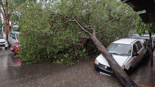 Hailstorm, Strong Winds Uproot Trees, Shake Cars On Roads In Delhi-NCR | Watch Video