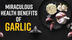 Top 5 Reasons Why Should Include Garlic In Your Diet, Benefits Of Garlic Explained | Watch Video