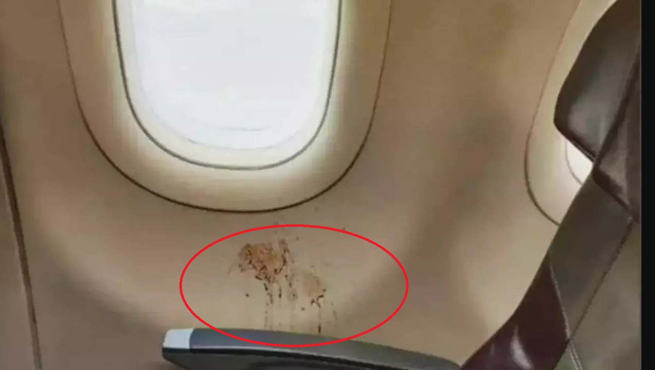 IAS Officer Shares Pic of Gutka Stain Inside Airplane, Internet Fumes With Anger | See Pic