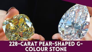 Shocking: 228 Carat Egg Sized Diamond Fetches Over $21M Geneva Auction | Watch Diamond in Video