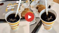 Viral Video: पीने ही वाला कोल्ड ड्रिंक पर तभी दिख गई मरी हुई छिपकली, उसके बाद जो हुआ यकीन ना करेंगे- देखें वीडियो