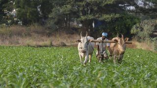 The State of Precision Farming Agriculture in India