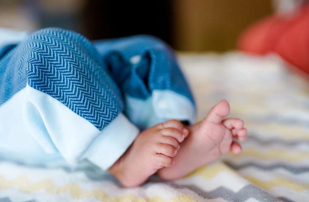 7-Months-Old Infant Mauled To Death By Stray Dog In Noida