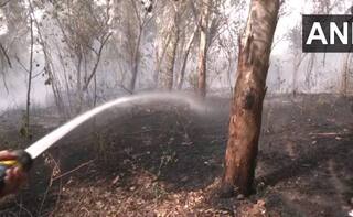 Fire Breaks Out in Forest Area Near Majnu Ka Tila in Delhi. See PHOTOS