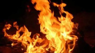 Massive Fire Breaks Out At Forest Near Jammu's Nagrota Area