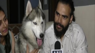 'Nawab Has Seen Entire Country With Us': Noida Man Booked For Taking Husky to Kedarnath